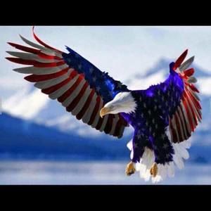 Meet your Posher, Ajay